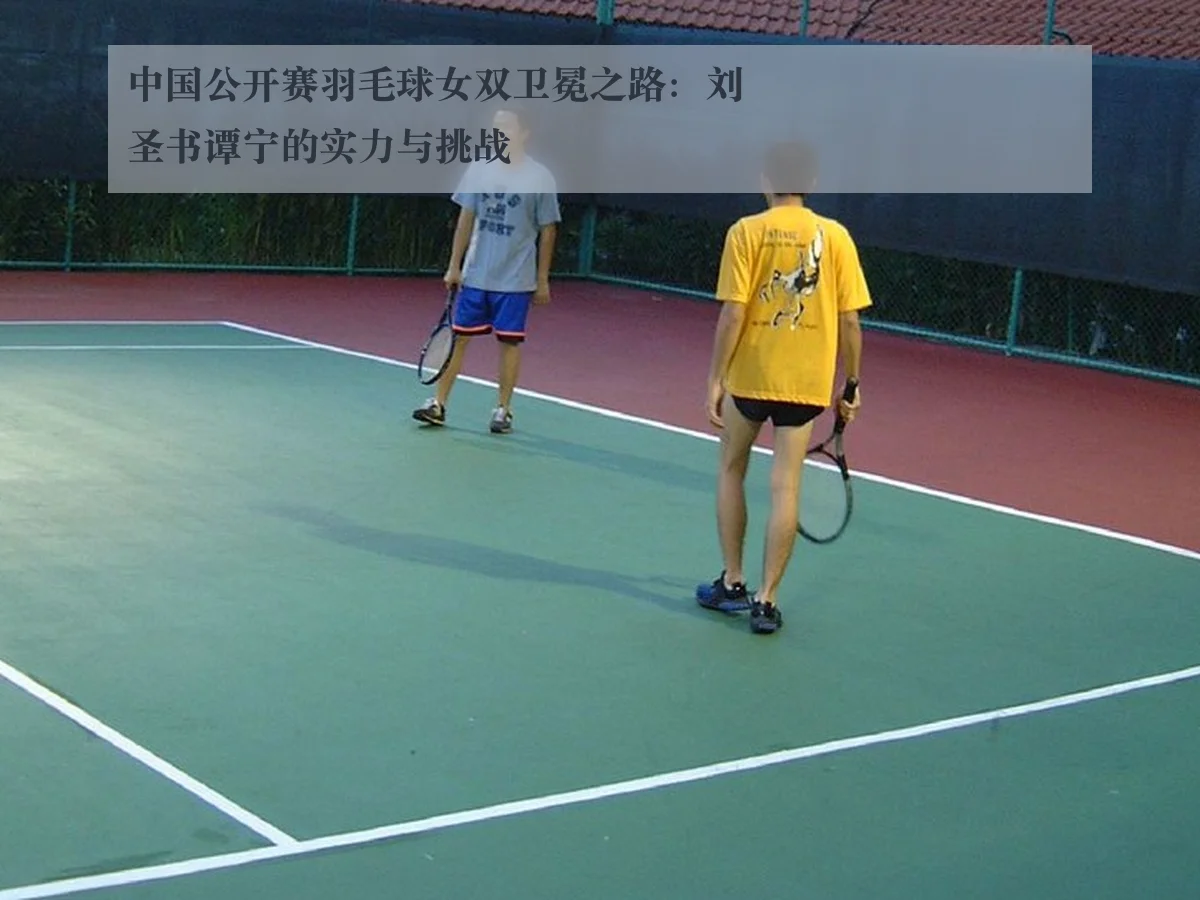 中国公开赛羽毛球女双卫冕之路：刘圣书谭宁的实力与挑战